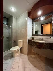Signature Park (D21), Condominium #501640491